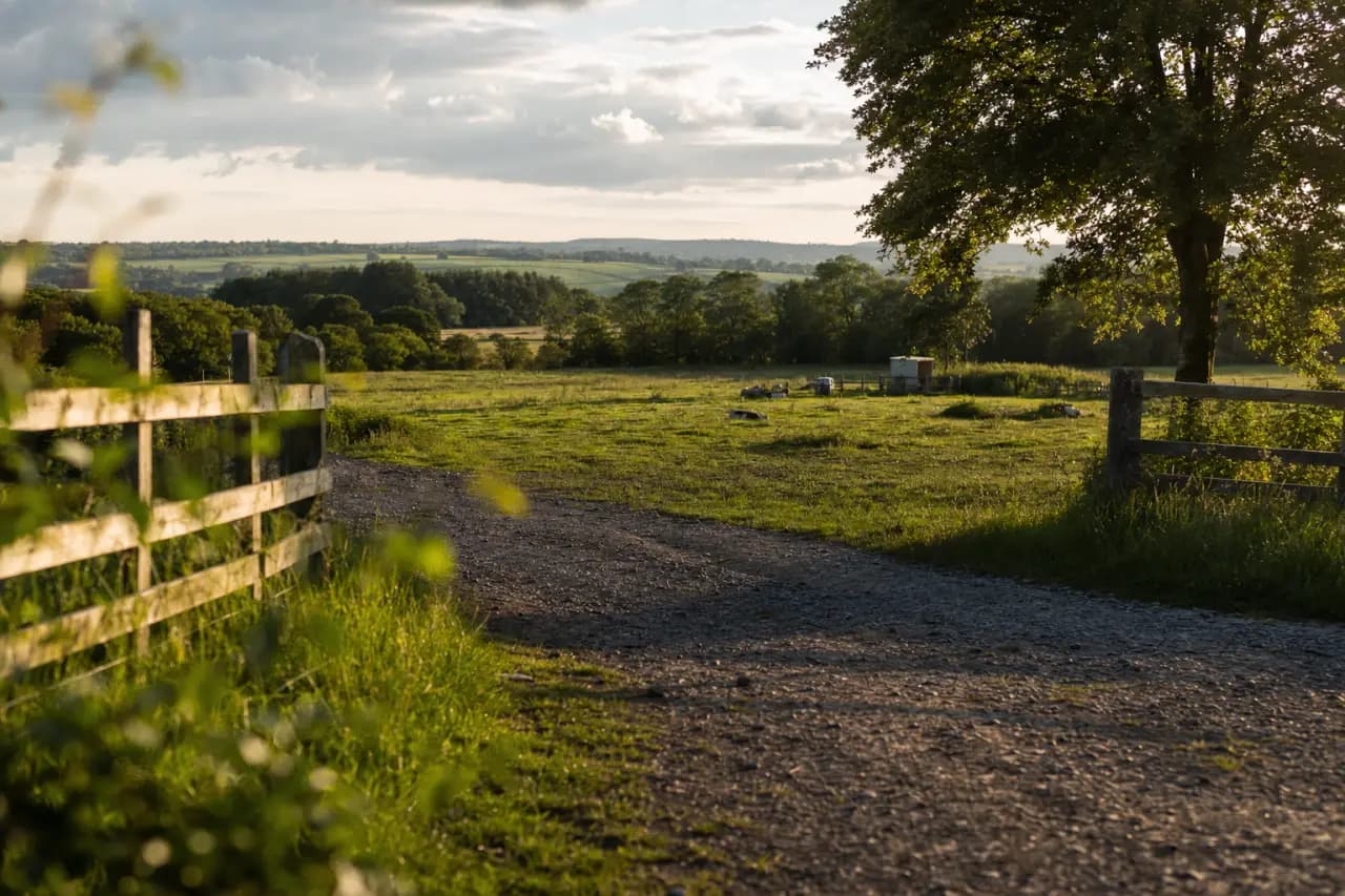 Smallholdings for Sale: Your Complete Buying Guide
