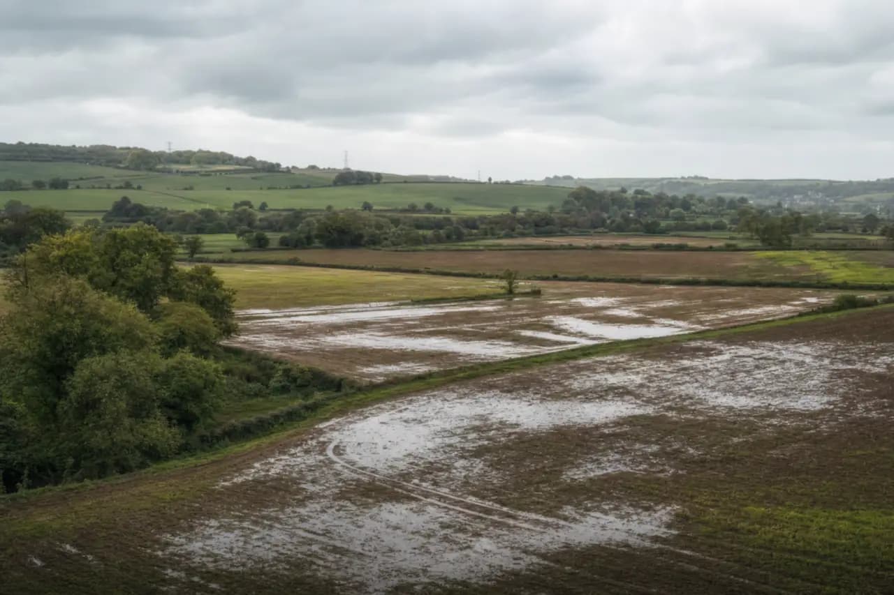 VAT on Land: When Do You Pay It?