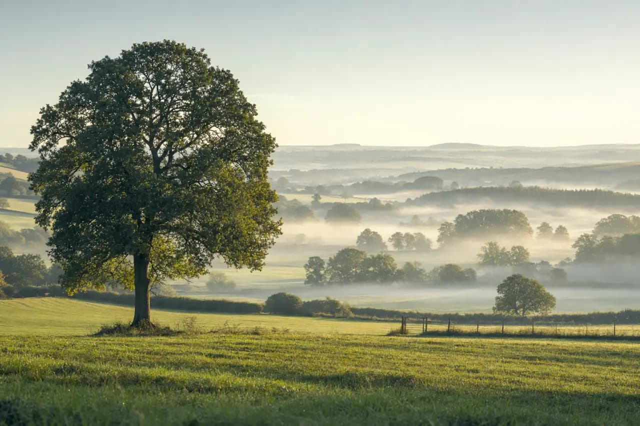 Capital Gains Tax on Selling Land in the UK: Complete Guide for 2026
