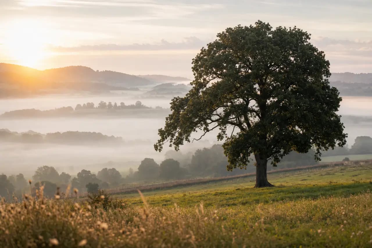Land Banking: What Is It and Is It a Scam?