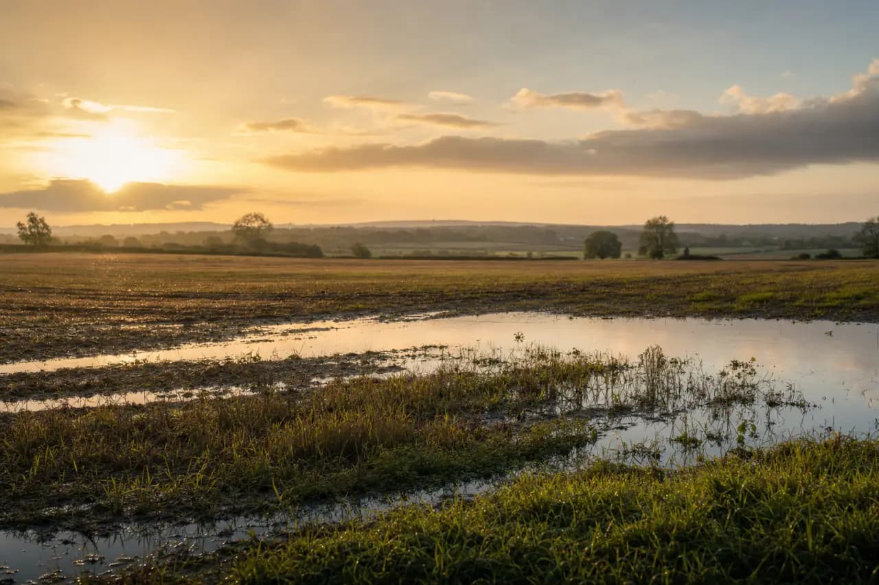 How to Check If Land Has Planning Permission: A Complete UK Guide