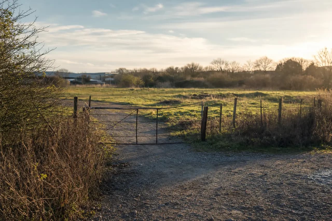 Brownfield vs Greenfield Land: What's the Difference?