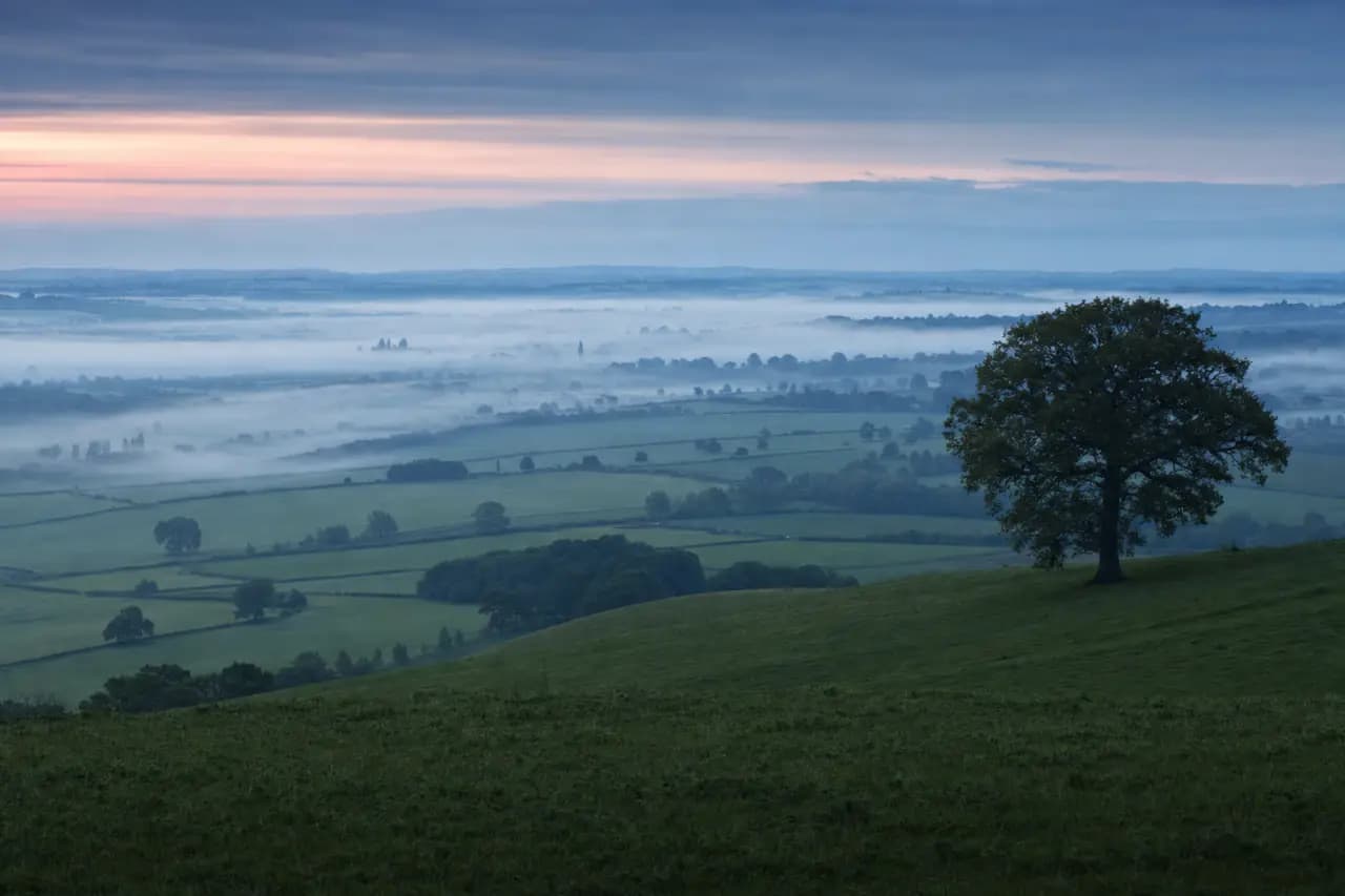 Land Options and Option Agreements Explained: A Complete UK Guide
