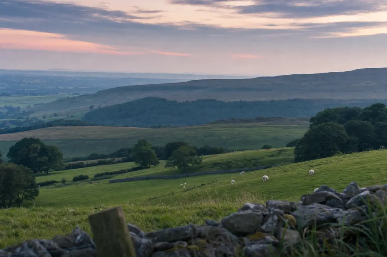 How to Check if Land is Registered or Unregistered in the UK: A Complete Guide
