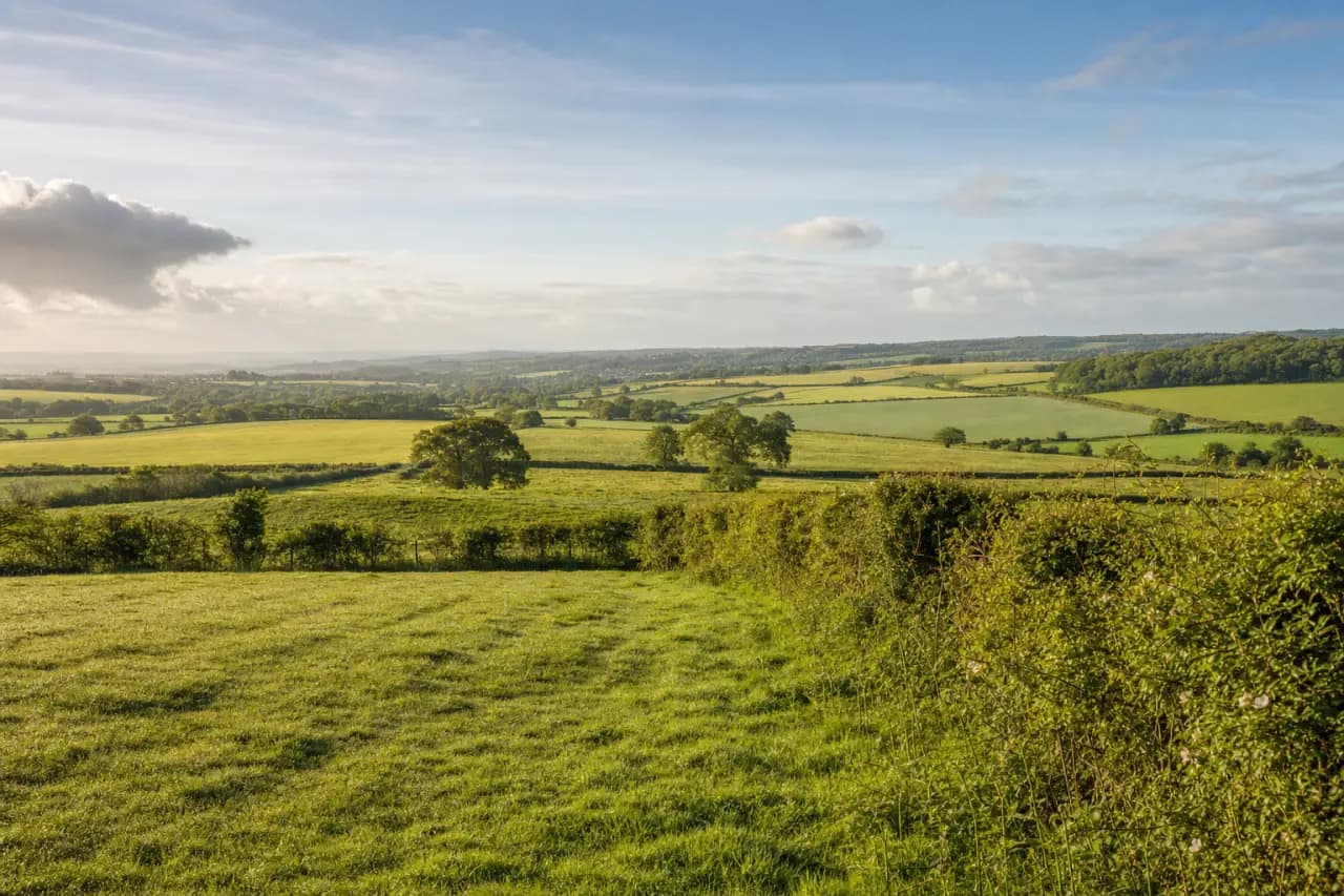 How to Buy Land with Bad Credit in the UK: Finance Options and Practical Solutions