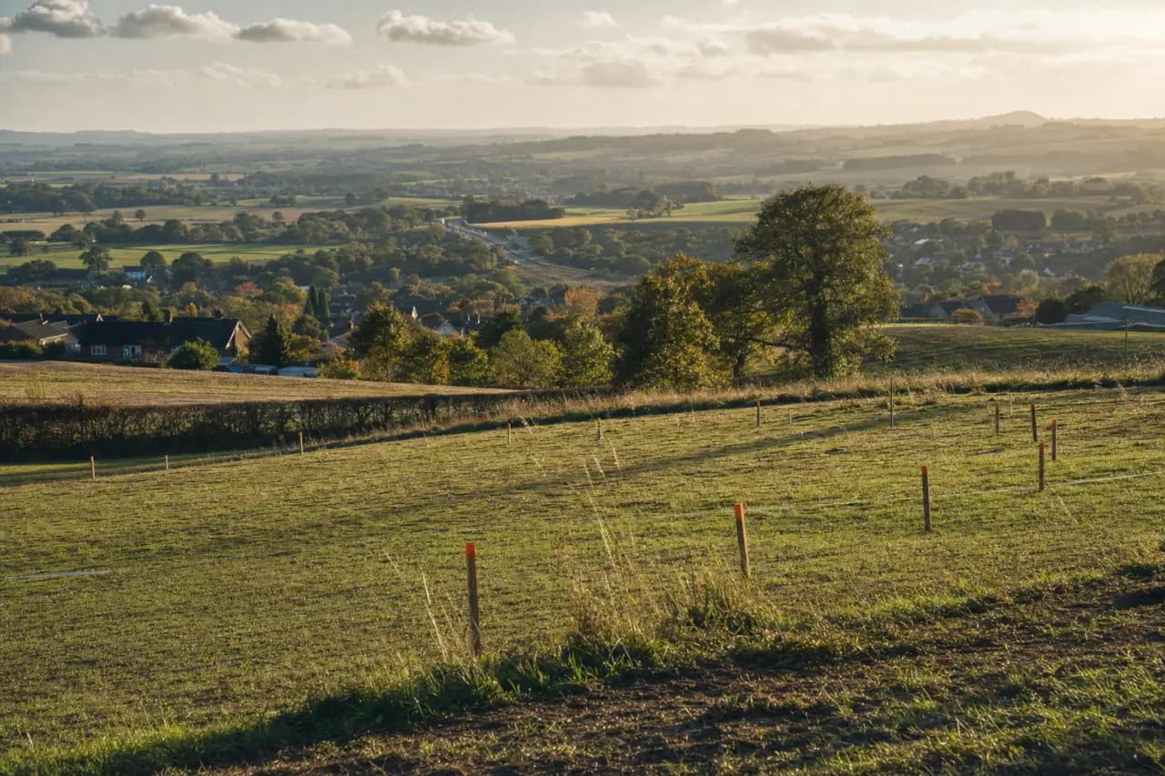How to Check for Compulsory Purchase Orders (CPO) Before Buying Land in the UK