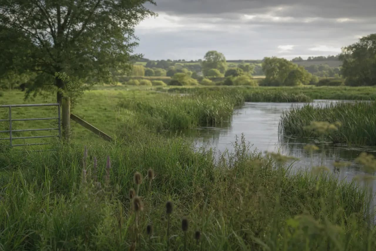 How to Check for Unexploded Bombs (UXO) Before Buying Land in the UK