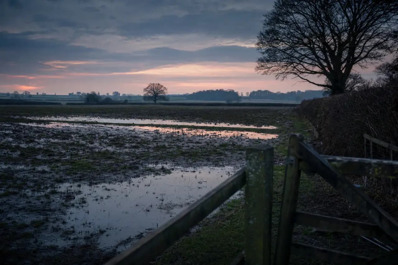 How to Check for Shooting Rights and Hunting Leases Before Buying Land in the UK