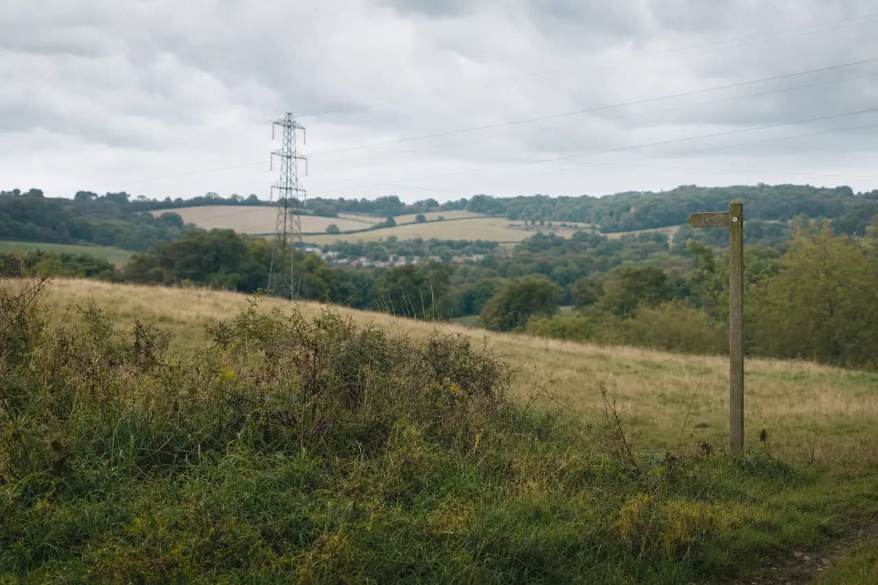 How to Check for Pylons and Power Lines on Land: Compensation, Health Risks and Property Value Impact