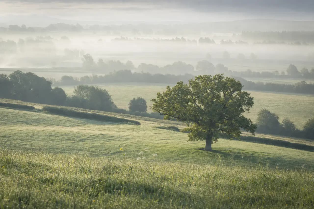How to Check for Subsidence and Ground Stability Before Buying Land in the UK