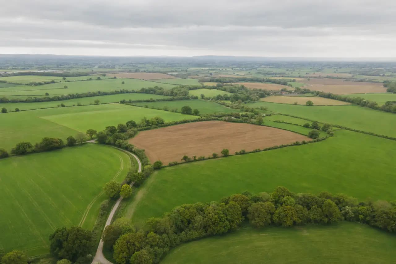 The Complete Land Due Diligence Checklist Before You Buy