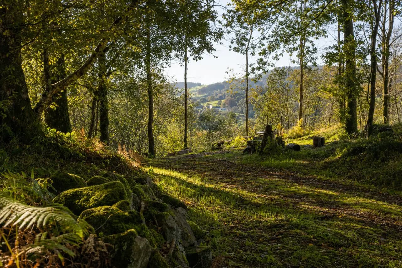 Can You Live on Your Own Land in a Mobile Home, Caravan or Tiny House? (UK, 2026)