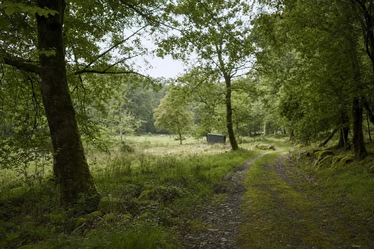 Off-Grid Land for Sale: What to Watch For Before You Buy