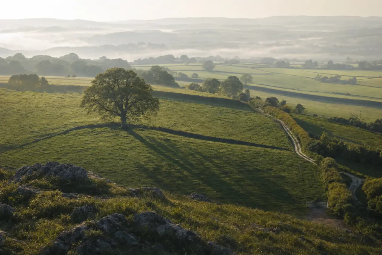 Off-Grid Power and Access: What to Check on the Land