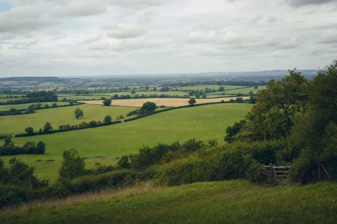 Land Value Calculator: How Much Is an Acre of Land Worth in the UK? (2026)