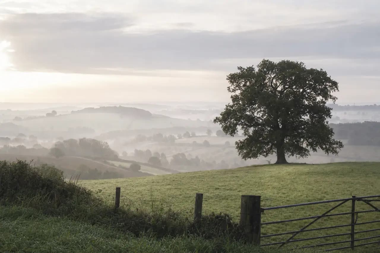 UK land market tracker: what land actually sells for