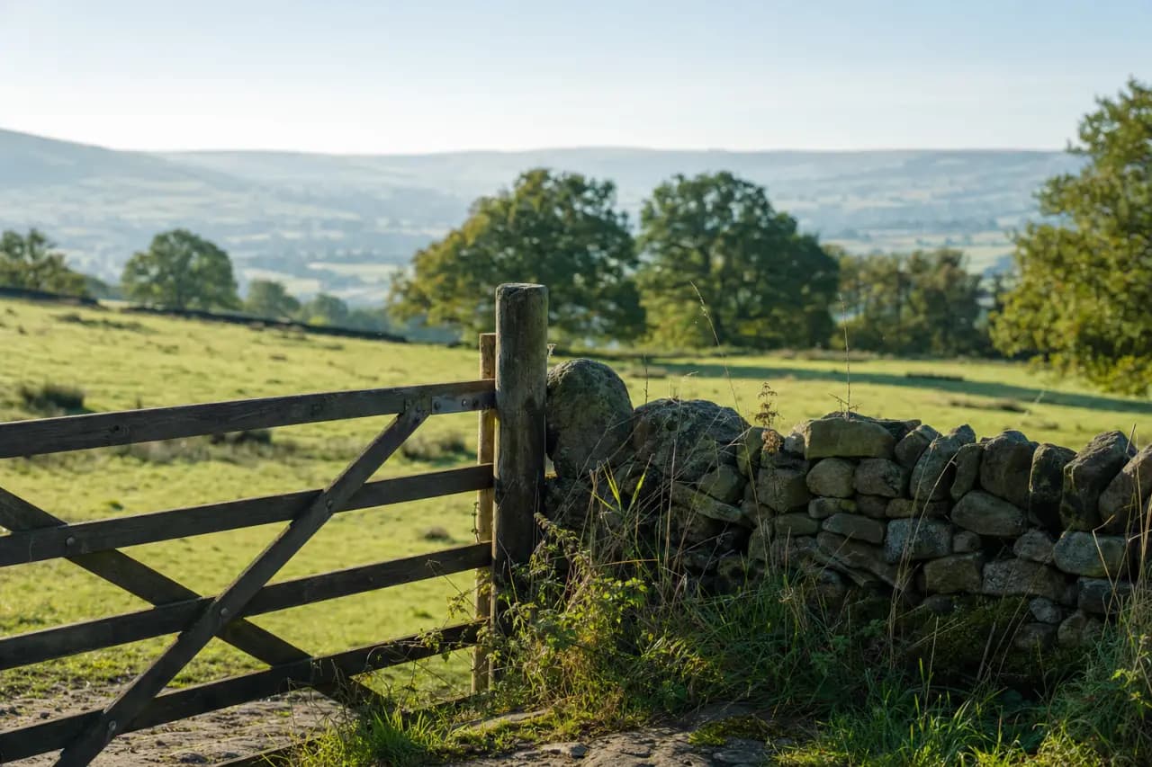 DIY Land Checks vs Paid Reports: What Due Diligence Really Costs