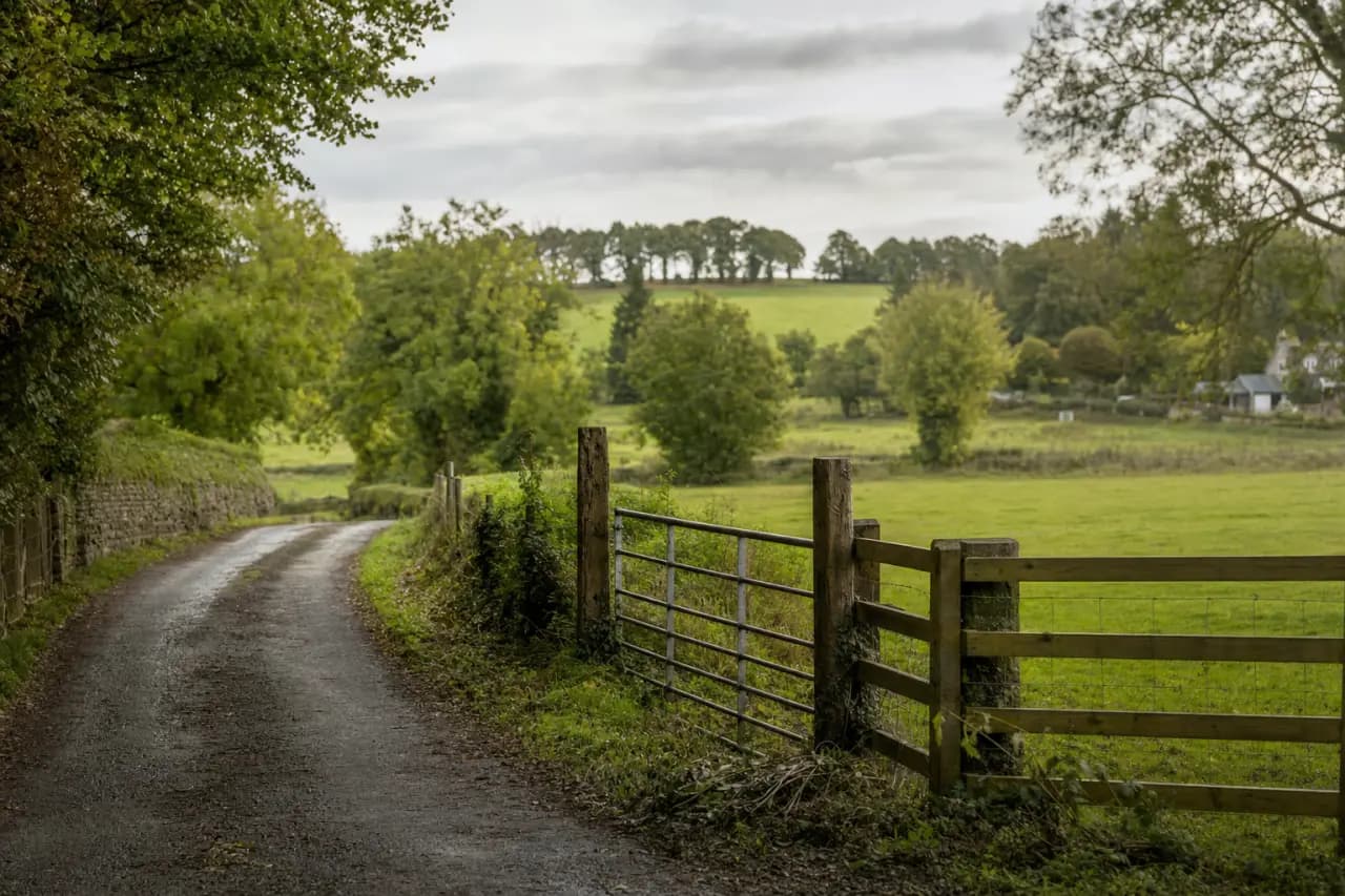 Pre-Purchase Land Checks Your Solicitor Won't Do Automatically