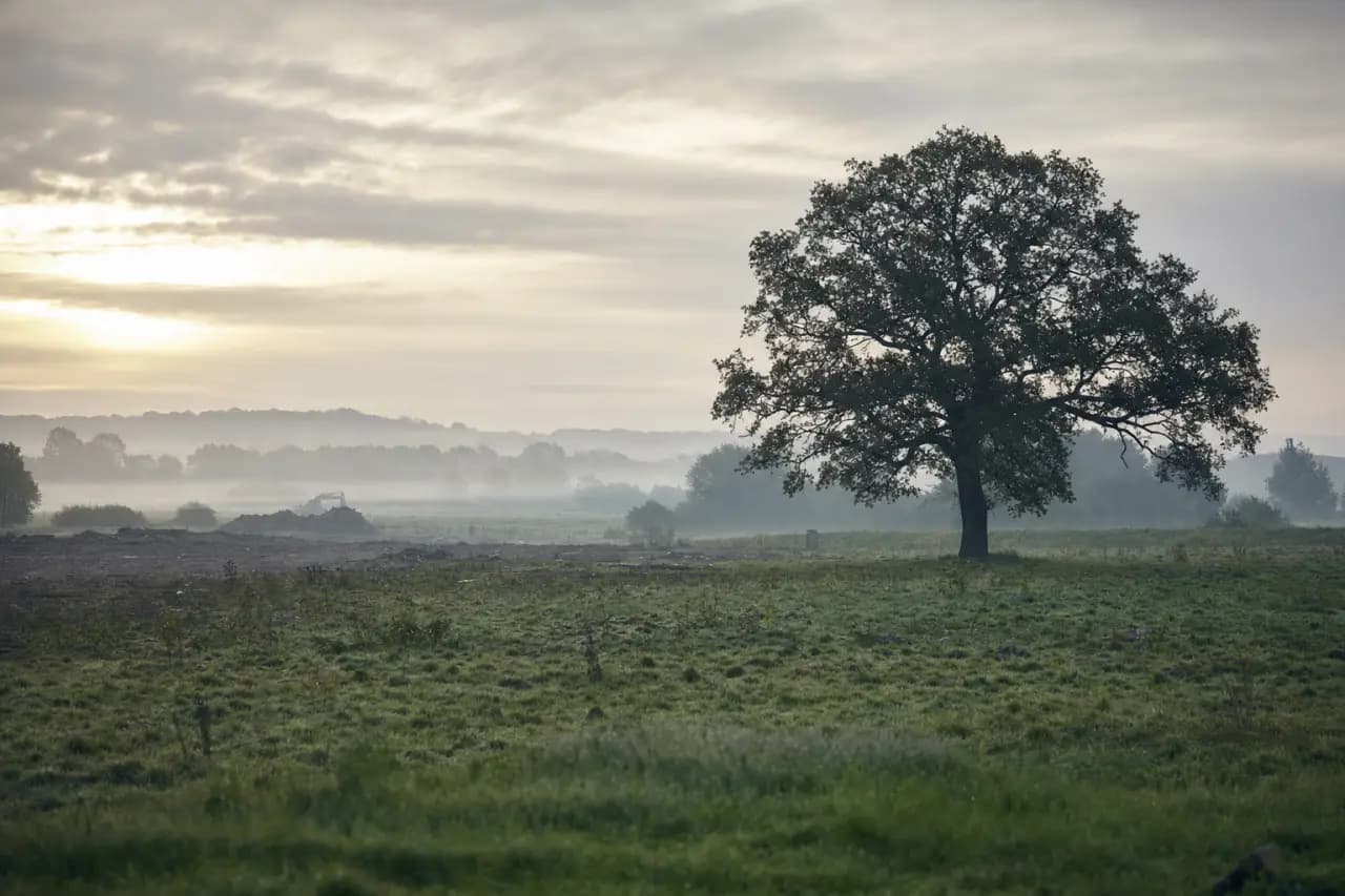 Contaminated Land: How to Check Before Buying