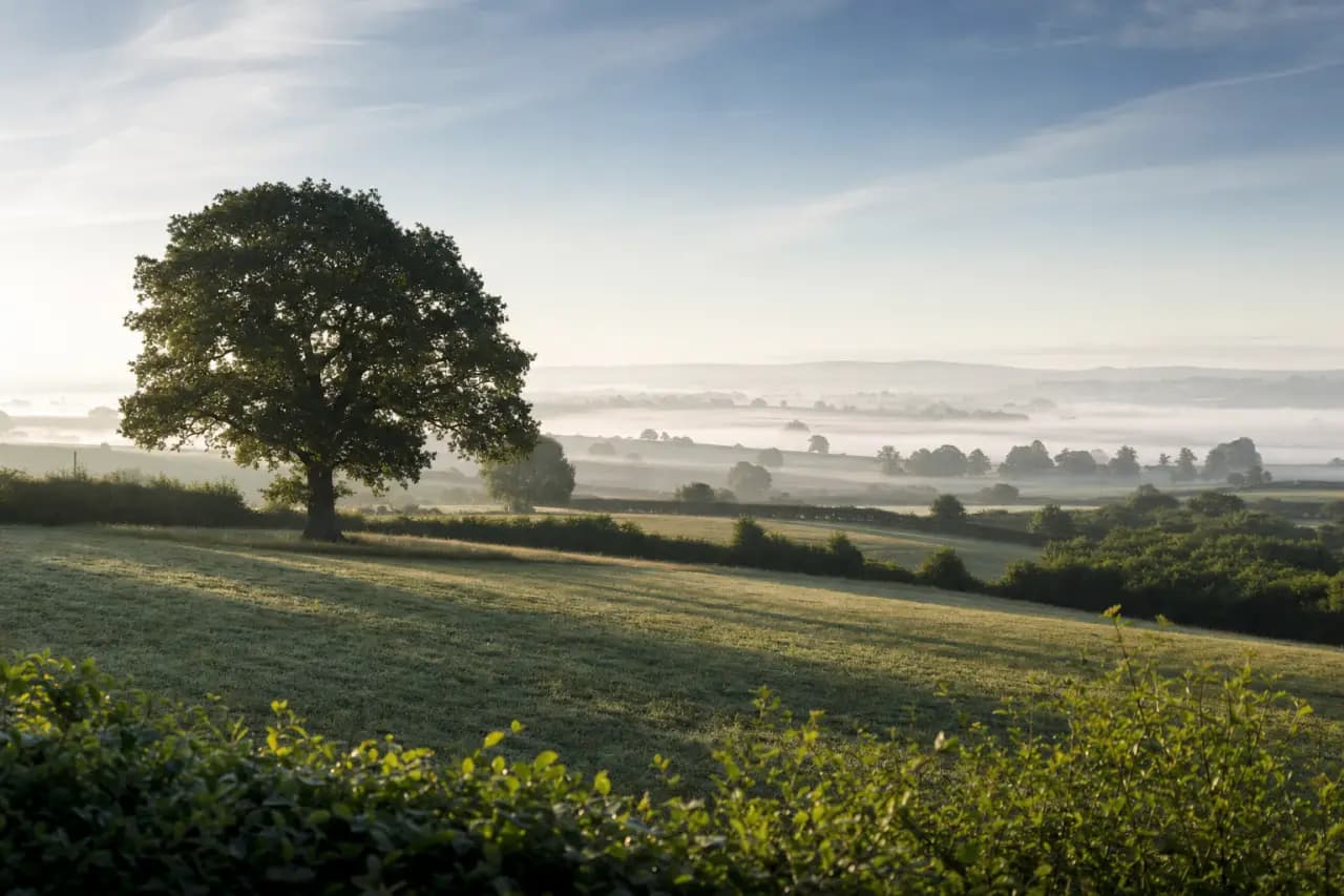 What Is a Section 106 Agreement? A Complete Guide for Land Buyers