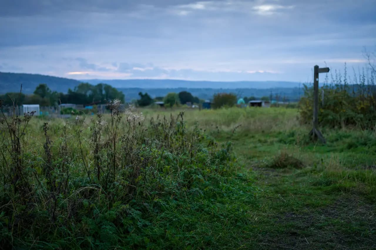 Buying Allotment Land: Rules, Rights, and Opportunities in 2026