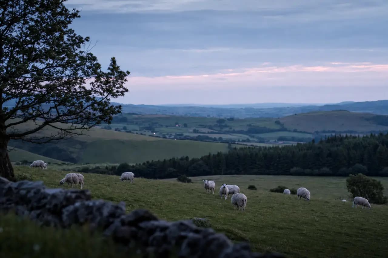 How to Check for Mineral Rights Before Buying Land in the UK