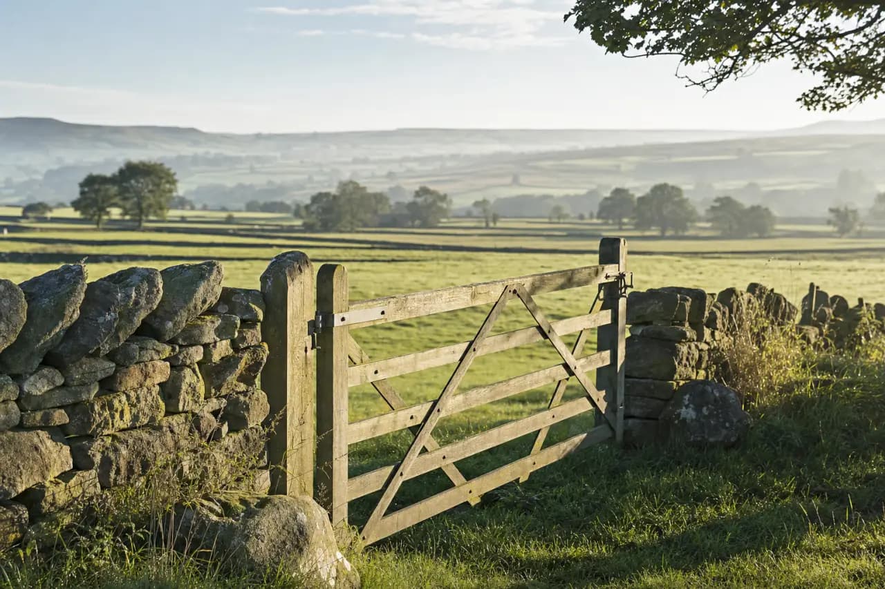 How to Buy Land with a Partner: Legal Agreements, Ownership Structures and What Happens If You Split