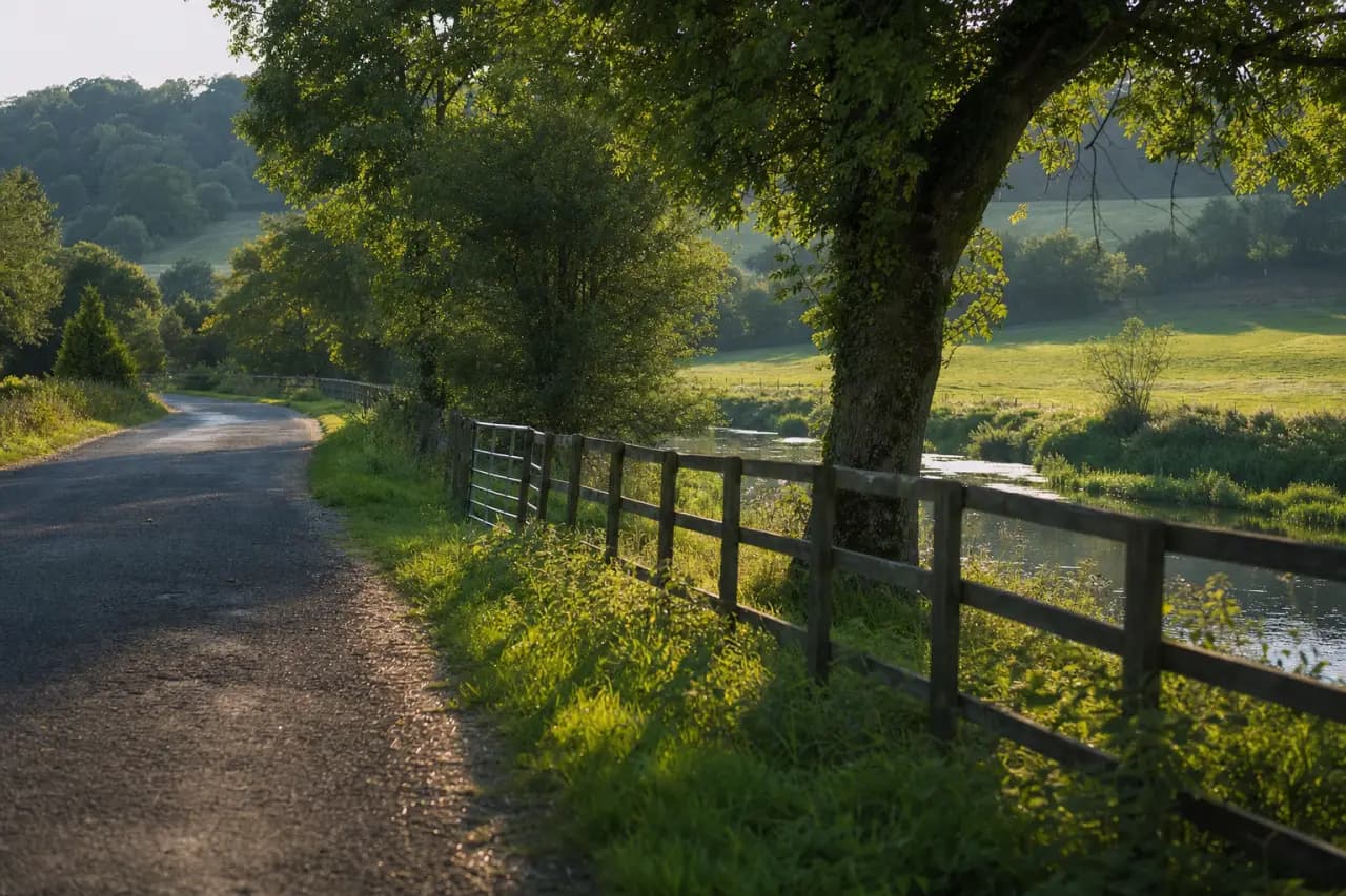 How to Check for Electrofishing and Fishing Rights Before Buying Land in the UK