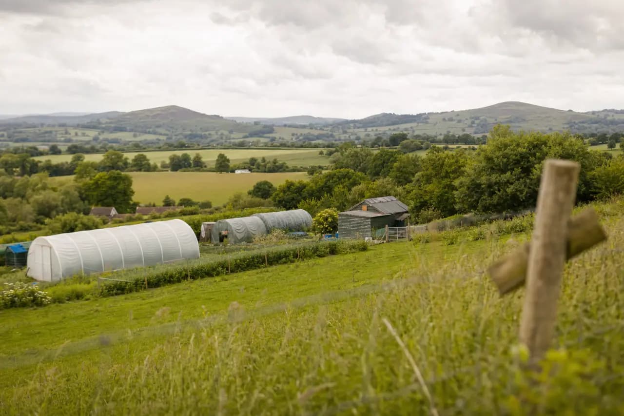 Buying Land at Auction in the UK: The Complete Guide (2026)