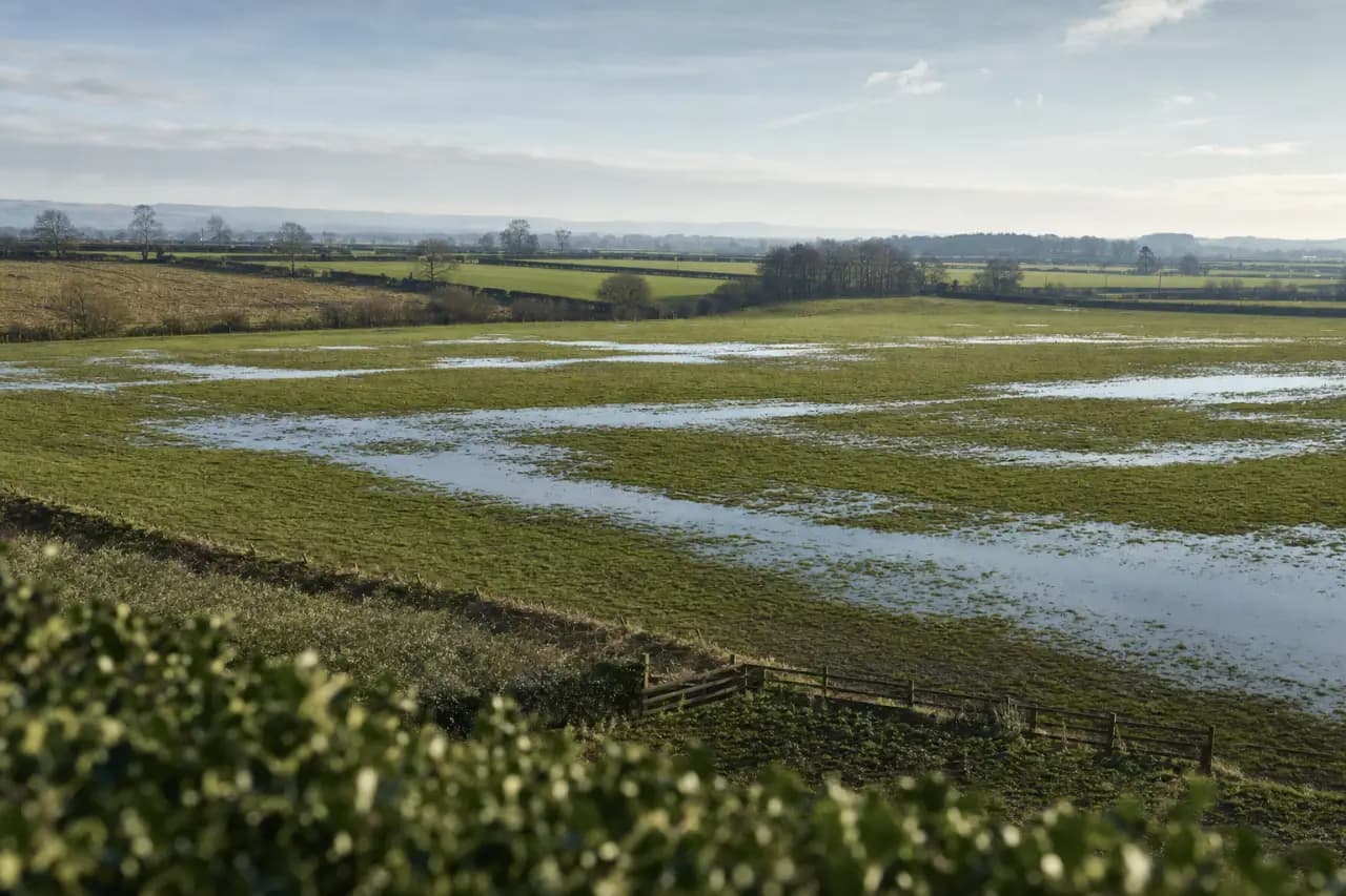 Land Auction Due Diligence: What to Check Before You Bid
