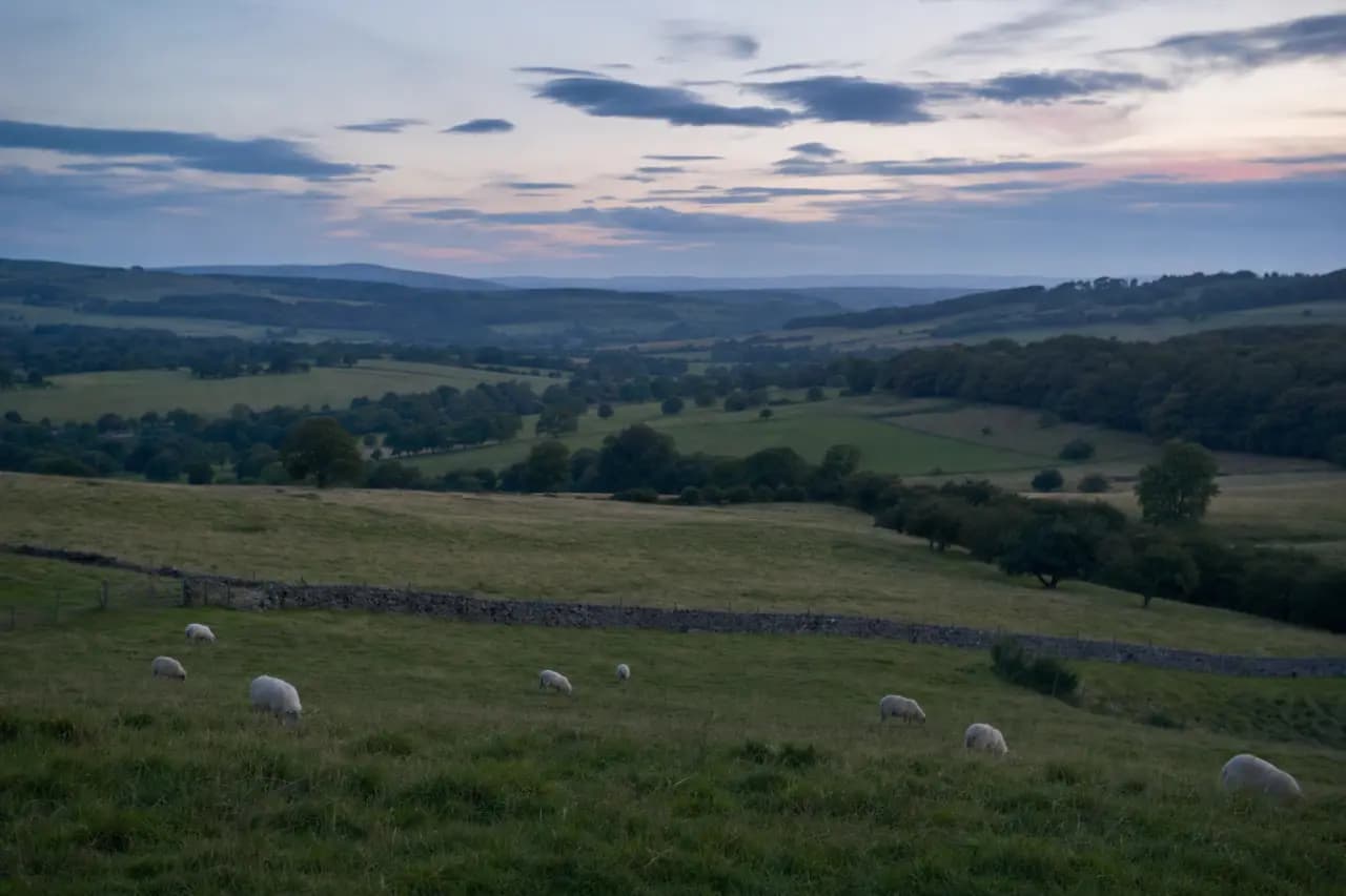 The Land Auction Legal Pack: What to Check (and What's Missing)