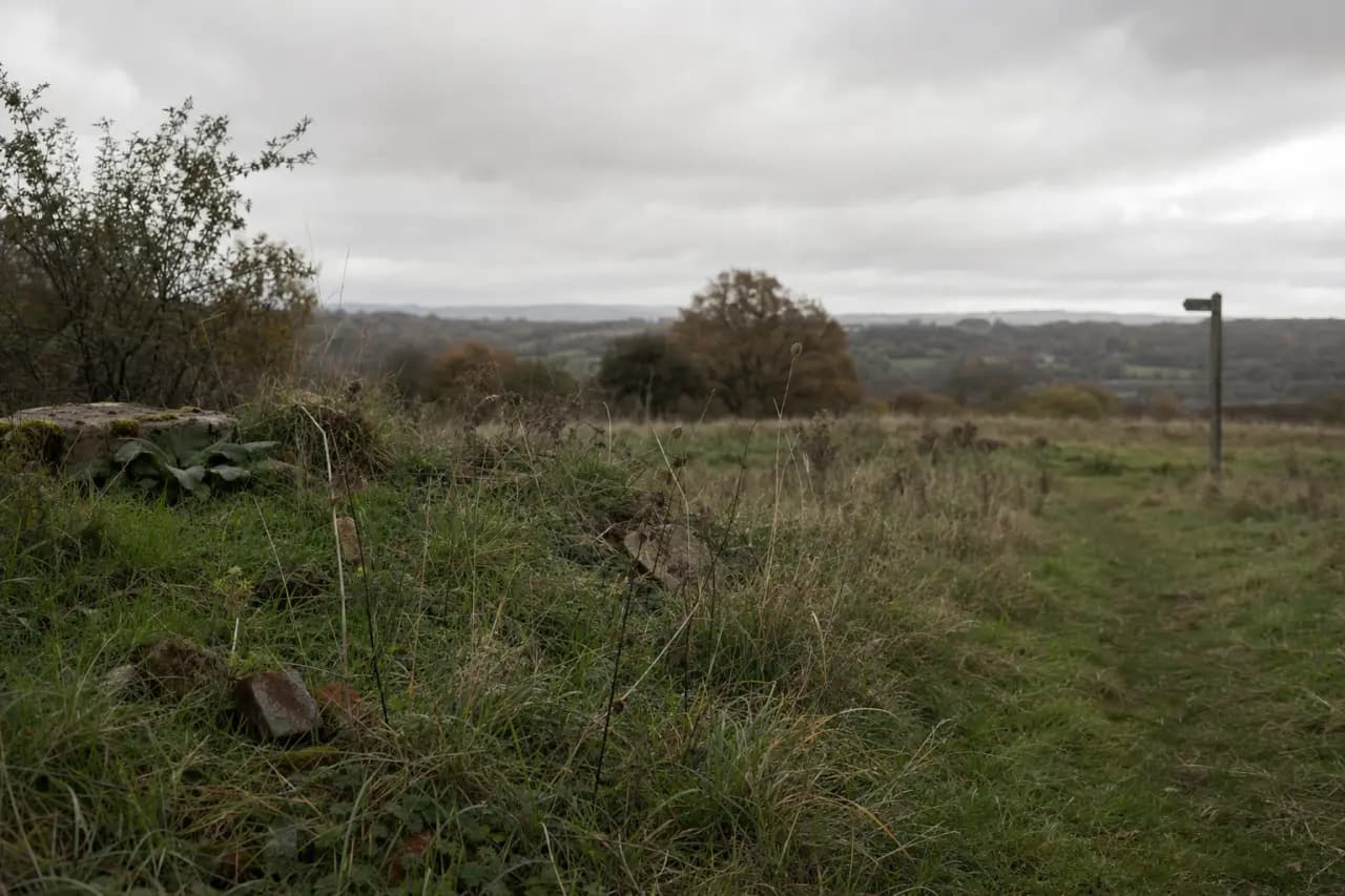 Why Is Auction Land So Cheap? The Red Flags to Look For