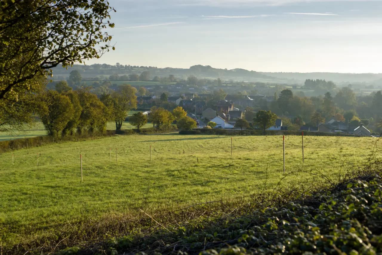 Unsold Land Auction Lots: Buying Before and After the Auction