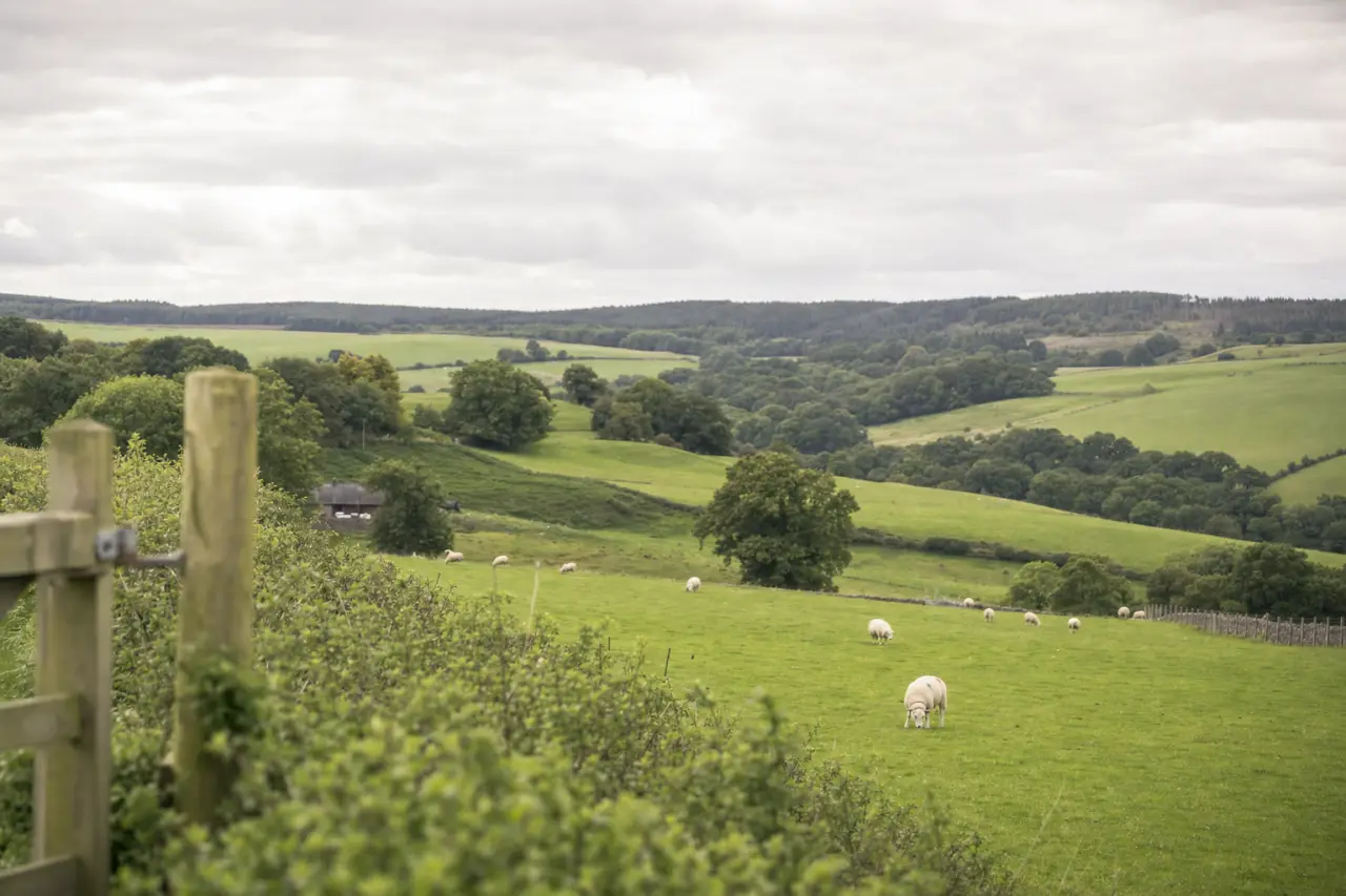 Understanding Land Registry: A Buyer's Guide