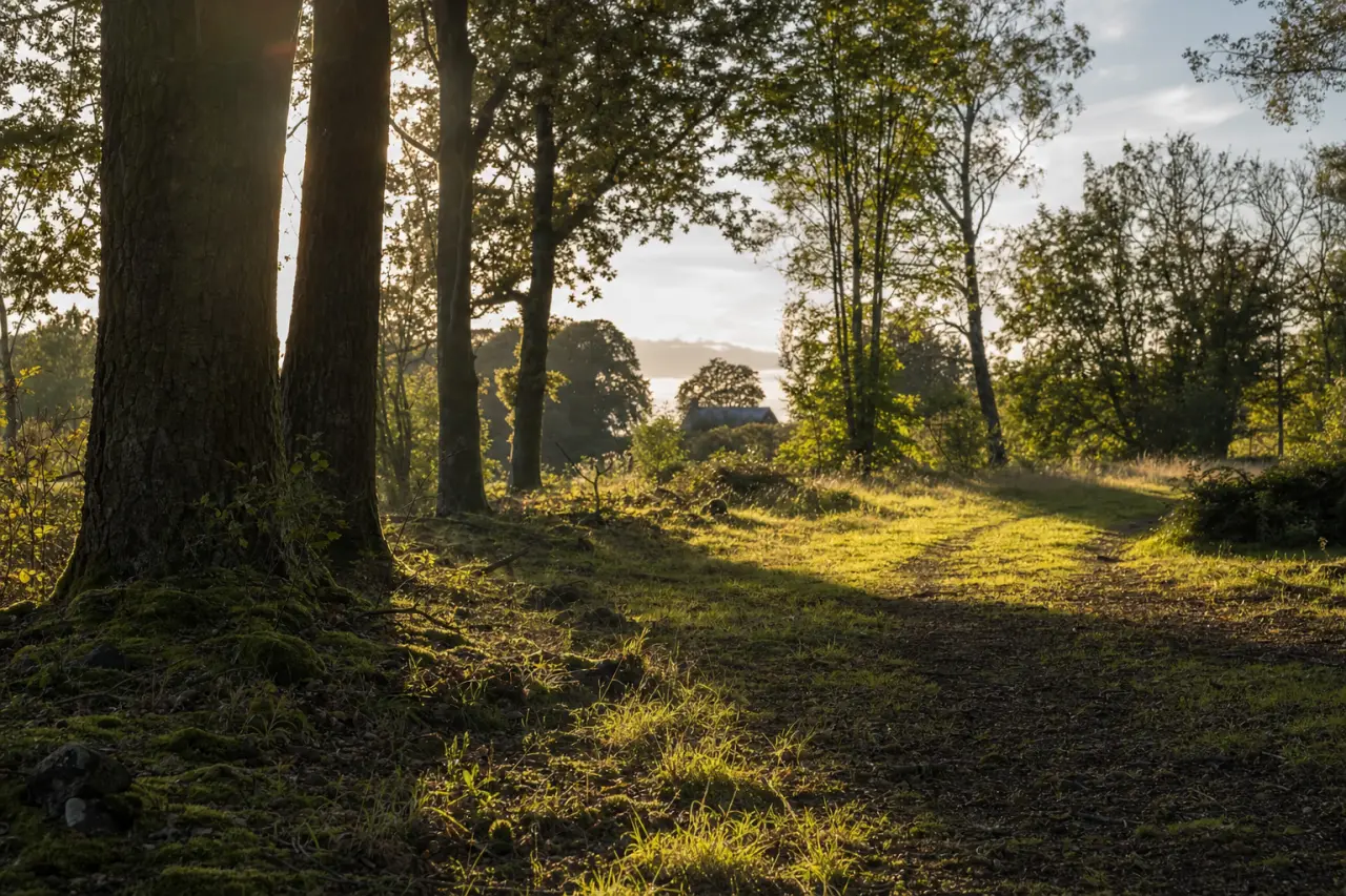 Self-Build Plots: How to Find and Buy Land for Your Dream Home