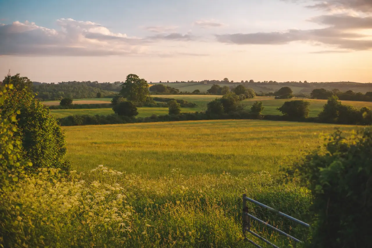 Self-Build Plots: How to Find and Buy Land for Your Dream Home