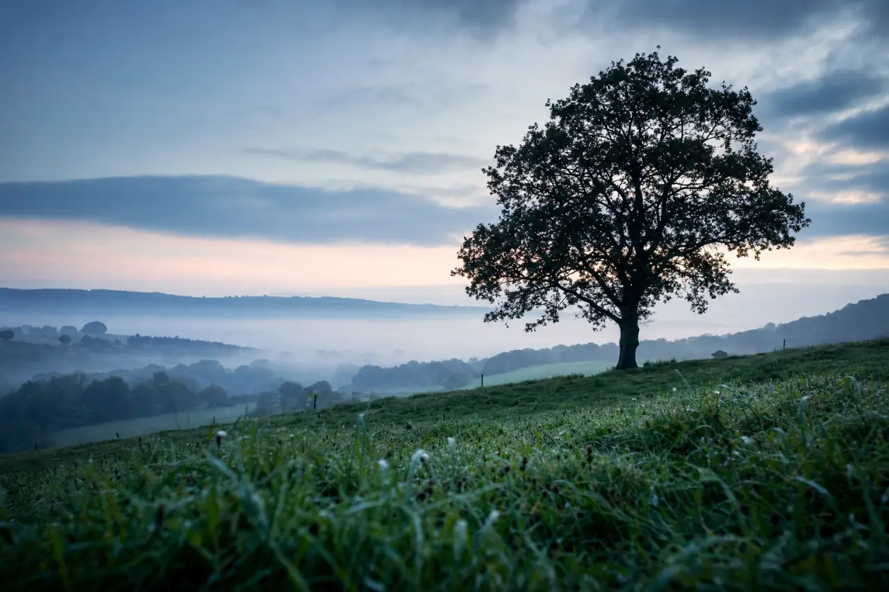 Can You Get a Mortgage on Land? A Complete Guide to Land Mortgages in the UK