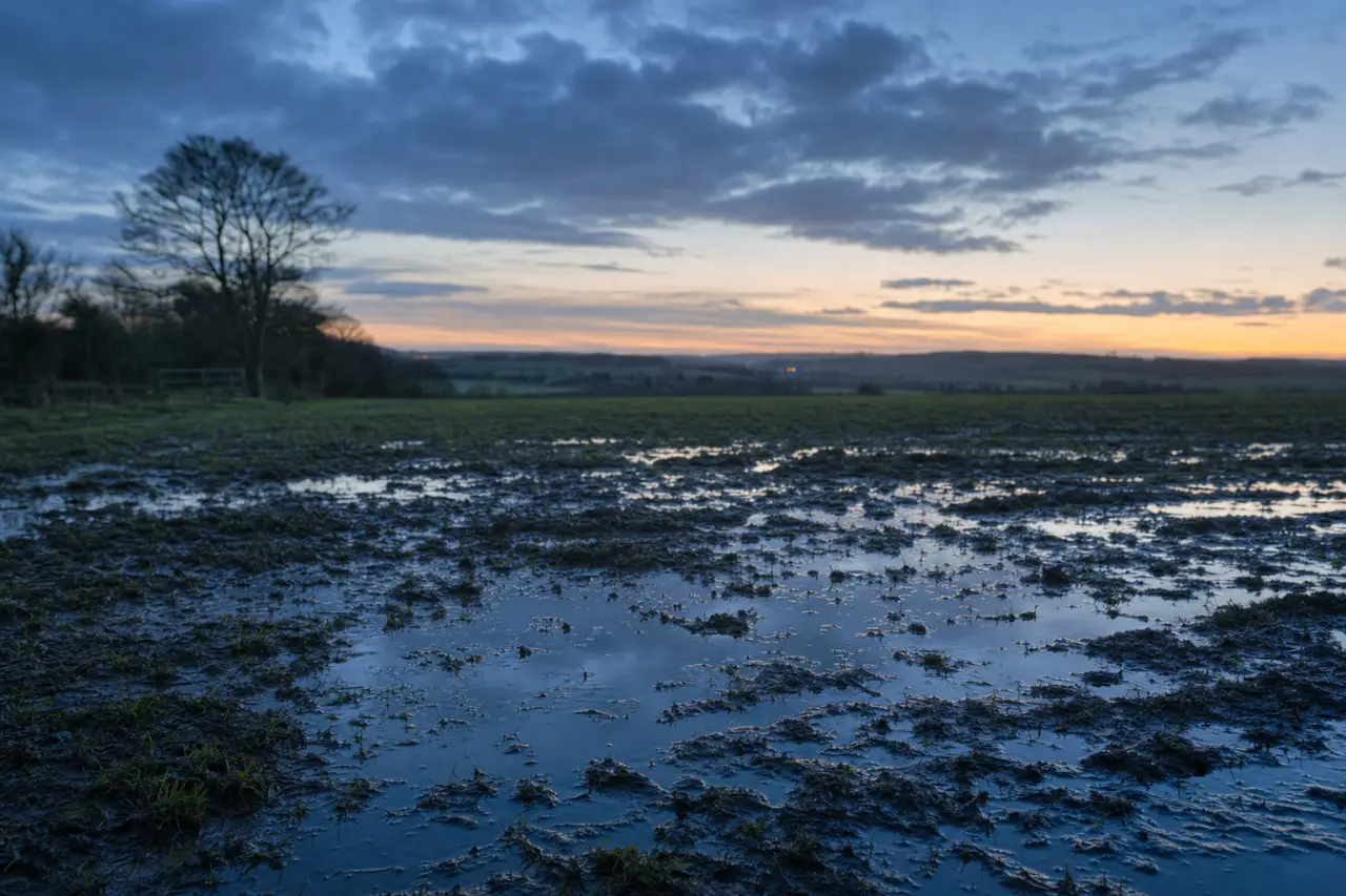 How to Add Value to Land You Own: 11 Proven Strategies for UK Landowners