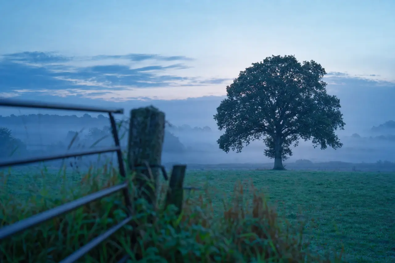 How to Buy MOD or Government Surplus Land in the UK: A Complete Guide