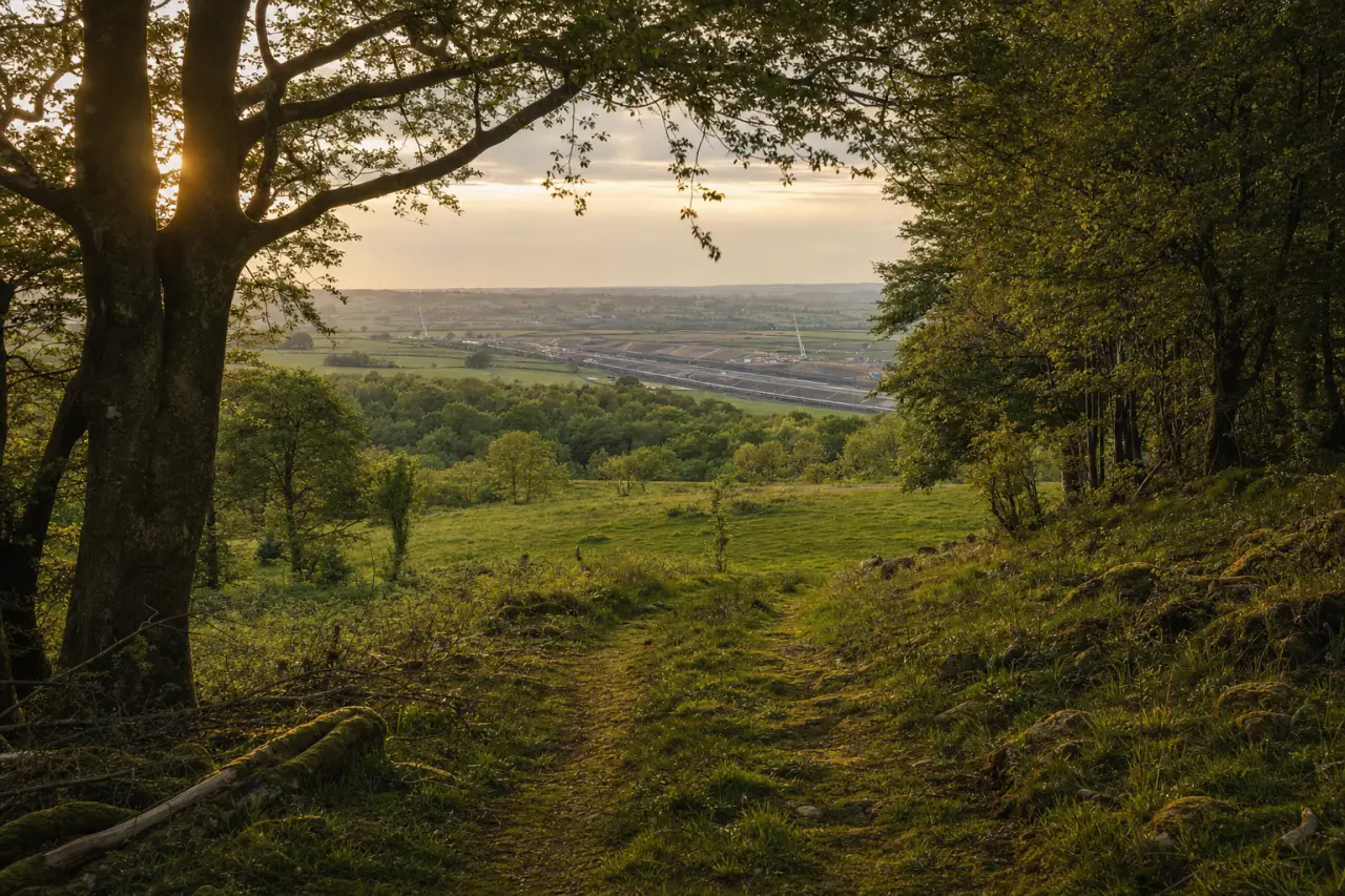 Buying Land Near HS2: Opportunity or Risk?