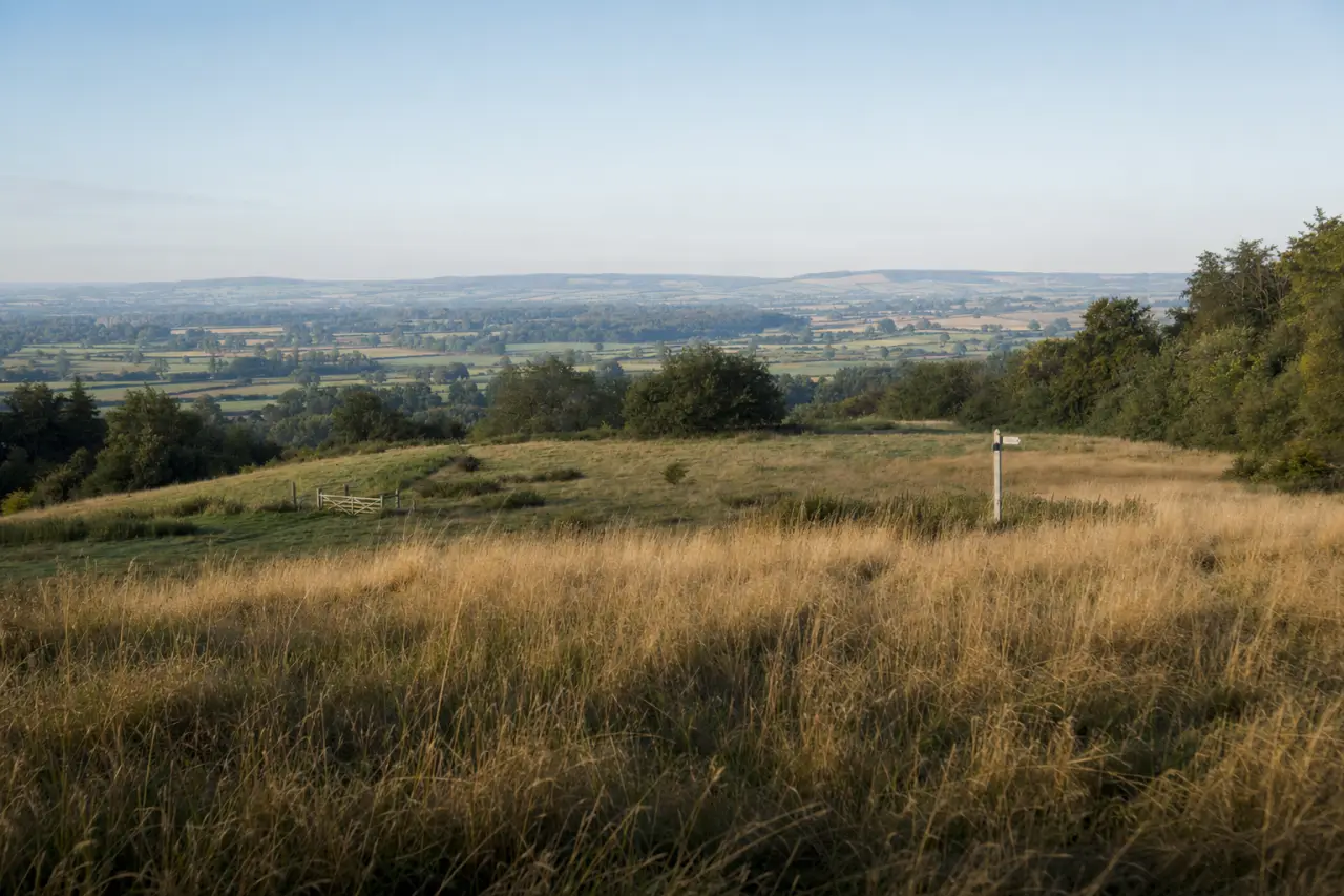 Buying Land with Friends or Family: Legal Structures, Risks and How to Protect Your Investment