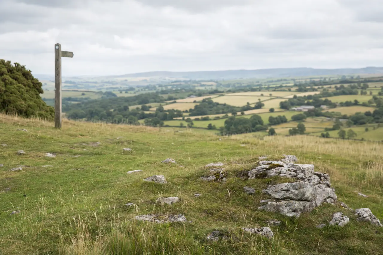 How to Check for Mineral Rights Before Buying Land in the UK