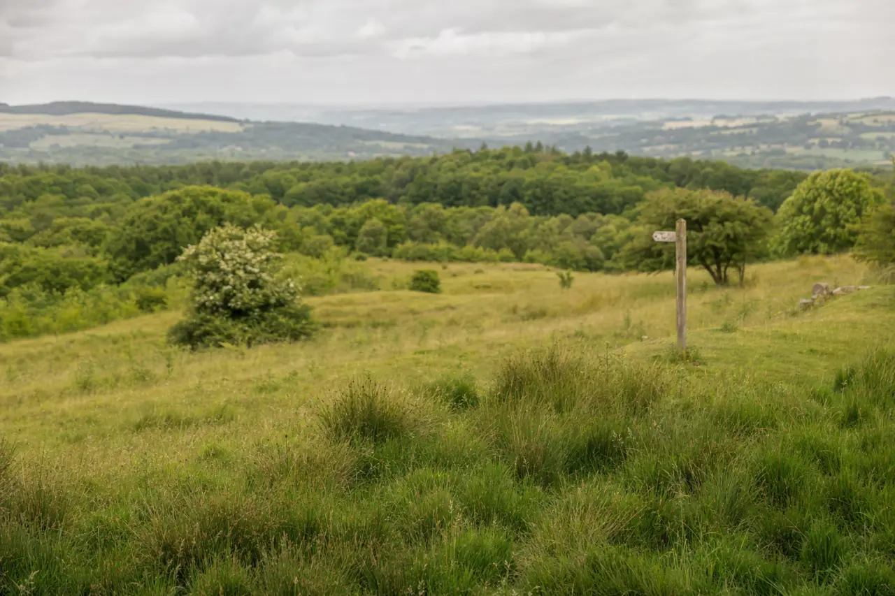 How to Check if Land is Registered or Unregistered in the UK: A Complete Guide
