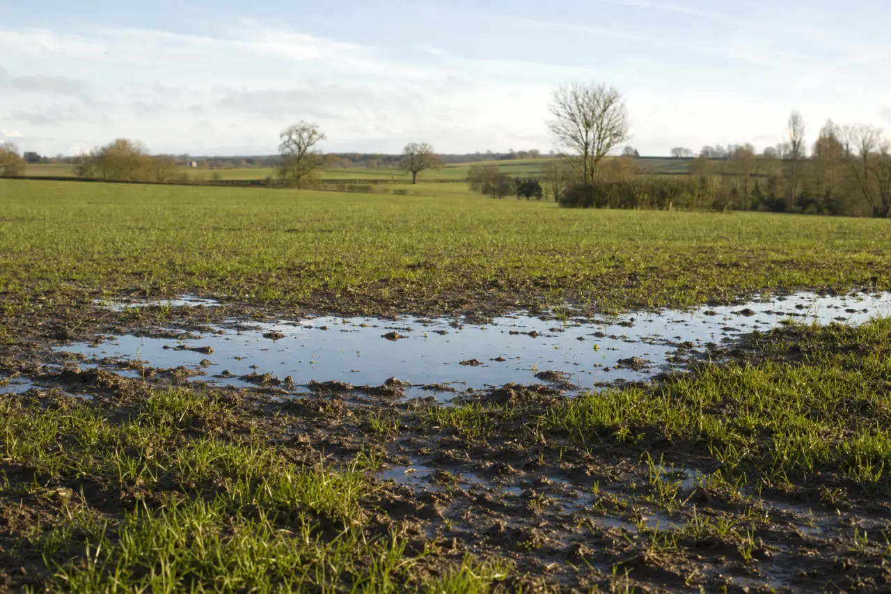 How to Check Soil Quality Before Buying Land in the UK: A Complete Guide