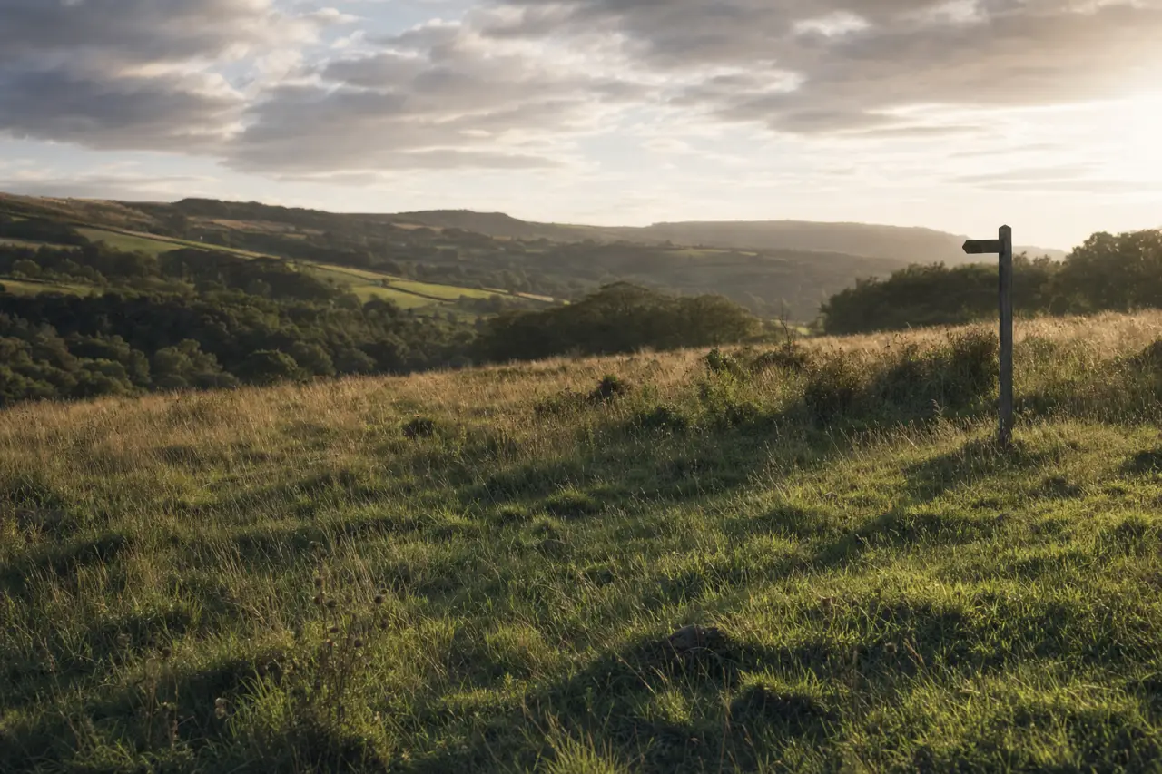 How to Check for Environmental Designations Before Buying Land in the UK: SSSIs, AONBs and More