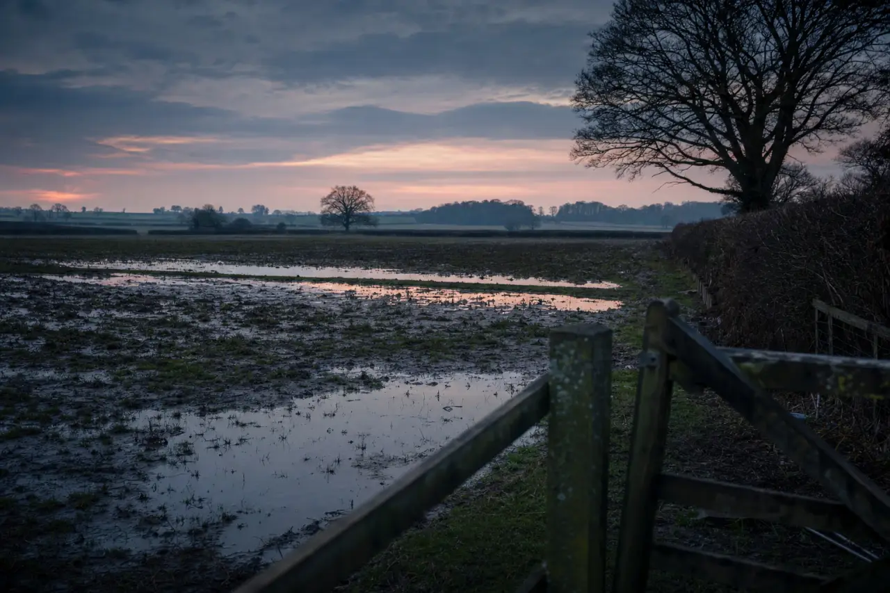 How to Check for Shooting Rights and Hunting Leases Before Buying Land in the UK