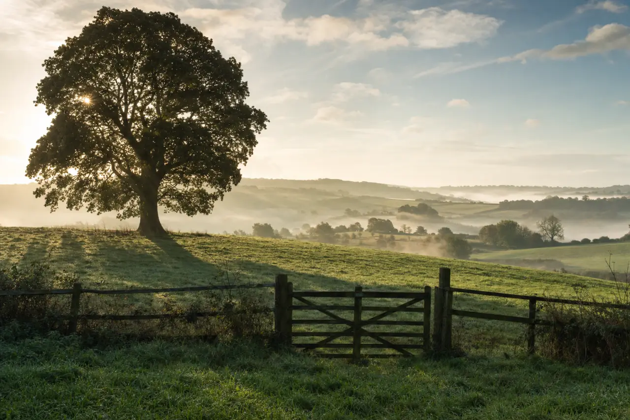 How to Buy Land with a Partner: Legal Agreements, Ownership Structures and What Happens If You Split