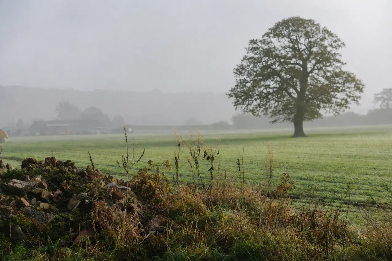 How to Check for Land Contamination from Old Petrol Stations, Garages and Fuel Tanks Before Buying Land in the UK