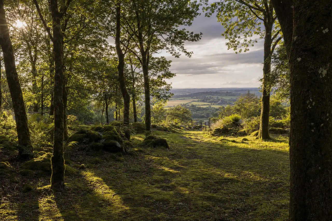 The Complete Land Due Diligence Checklist Before You Buy