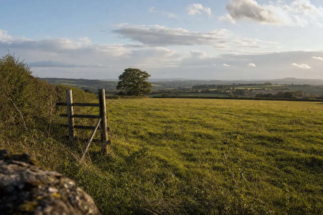 Off-Grid Land for Sale: What to Watch For Before You Buy